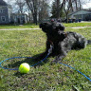 Meet your Posher, Fia